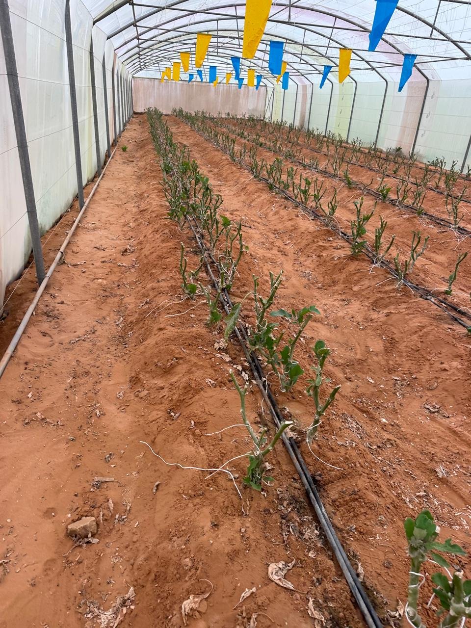 Smart Controlled Irrigation Systems and Landscape Maintenance